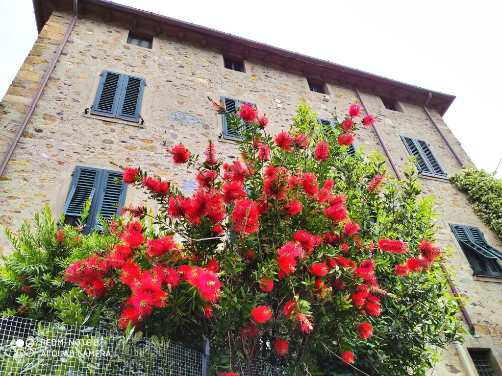 Castelvecchio Alto room 2